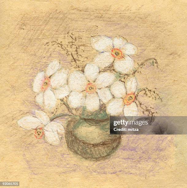 illustrazioni stock, clip art, cartoni animati e icone di tendenza di narciso disegno - dipinto a pastello