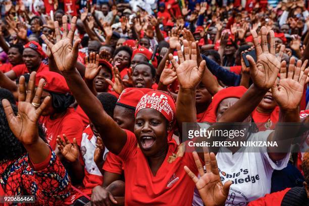 Supporters of the Movement for Democratic Change party take part in a gathering on February 19 at Freedom Square in Harare, to pay tribute to...