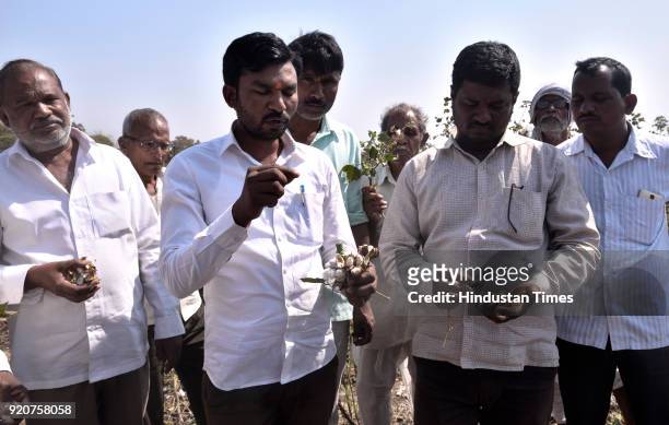 Farmers from Wadgaon village in Yavatmal district said the pink bollworm attack has not spared a single cotton farmer in their village on February 4,...