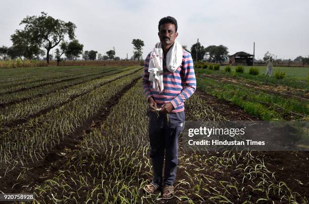 Gopal Chaudhary, a cotton farmer from Manchanpur village in Akola district, had posted a video in July last year of the onset of the pink bollworm...