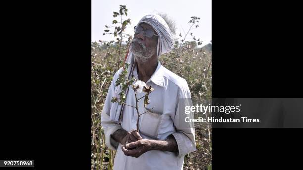 Farmer from Wadgaon village in Yavatmal district, who lost his cotton crop last year because of the pink bollworm attack, stands in despair on...