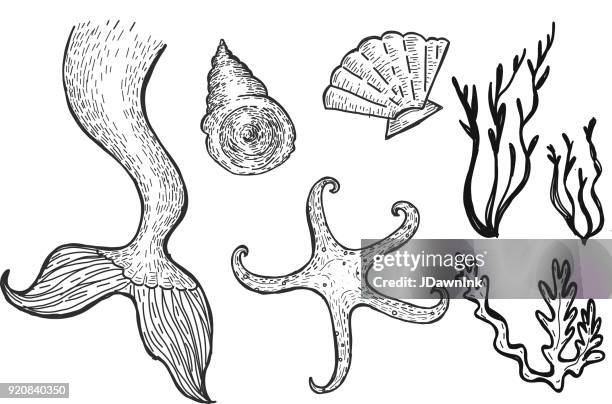 535点の人魚イラスト素材 Getty Images 535点の人魚イラスト素材 Getty Images