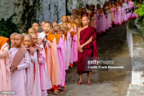 Buddhist nuns are queuing in a long row to receive donations in a monastery.