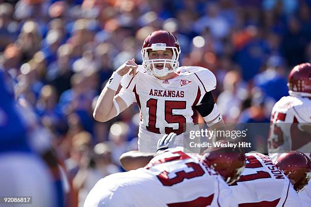 Ryan Mallett of the Arkansas Razorbacks calls out a play at the line of scrimmage during a game against the Florida Gators at Ben Hill Griffin...