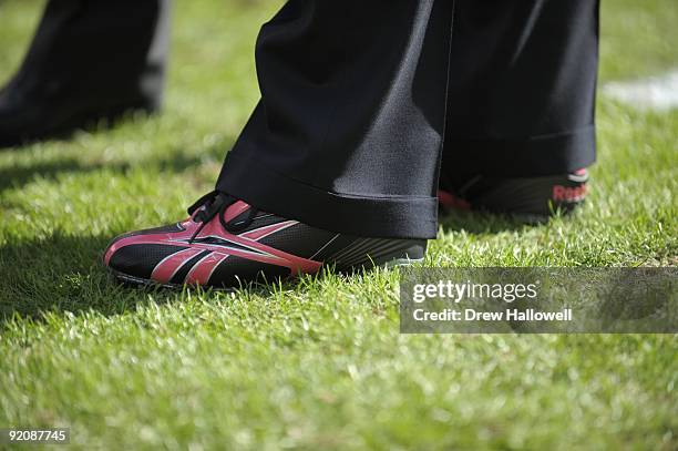 Owner Jeffrey Lurie of the Philadelphia Eagles wears pink striped cleats before the game against the Tampa Bay Buccaneers on October 11, 2009 at...