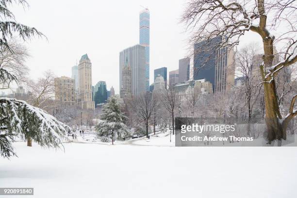 winter in the city - central park snow stock pictures, royalty-free photos & images