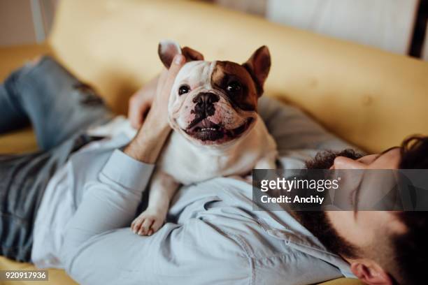 mann umarmt seinen hund - french bulldog stock-fotos und bilder
