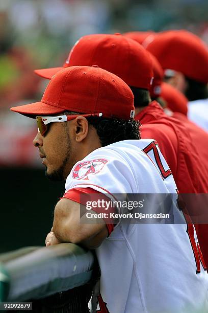 Maicer Izturis of the Los Angeles Angels of Anaheim looks on in Game Three of the ALCS against the New York Yankees during the 2009 MLB Playoffs at...