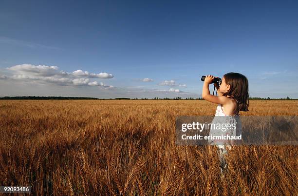 little girl exploring through a wheat field - greater than sign stock pictures, royalty-free photos & images