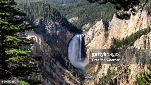 usa - yellowstone national park - lower falls - cataratas lower falls fotografías e imágenes de stock