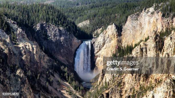 usa - yellowstone national park - lower falls - cataratas lower falls fotografías e imágenes de stock