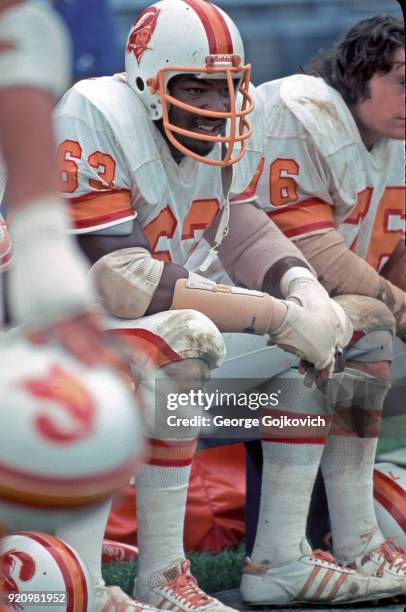 Defensive lineman Lee Roy Selmon of the Tampa Bay Buccaneers looks on from the sideline during a game against the Baltimore Colts at Memorial Stadium...