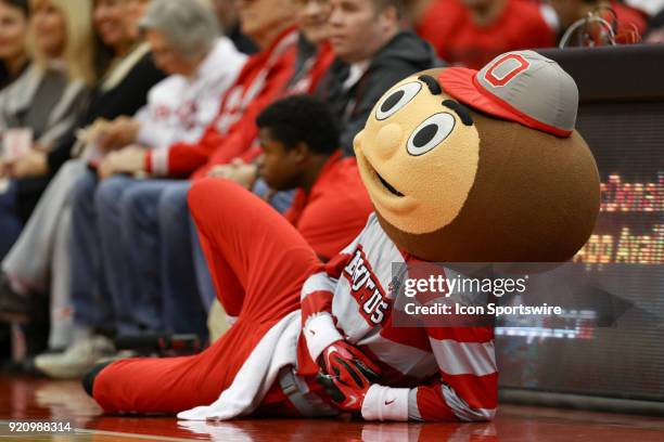 Ohio State Buckeyes mascot Brutus Buckeye lays down during a game between the Texas Southern Tigers and the Ohio State Buckeyes on November 16th,...