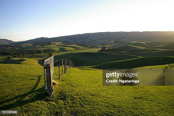 rolling hill pasture - new zealand and farm or rural stock pictures, royalty-free photos & images