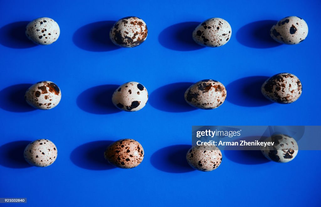 Quail eggs in a row on blue background