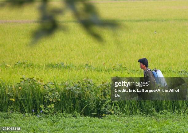 Crop sprayer woman in a field, Kangwon Province, Chonsam Cooperative Farm, North Korea on September 10, 2008 in Chonsam Cooperative Farm, North Korea.