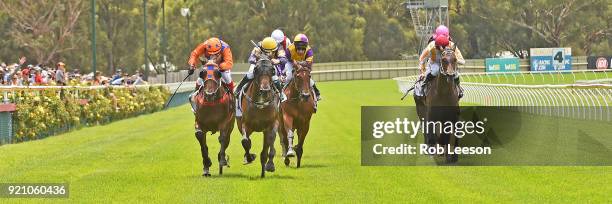 Louisville Lip ridden by Jason Benbow wins the Rising Sun Hotel Maiden Plate at Bendigo Racecourse on February 17, 2018 in Bendigo, Australia.