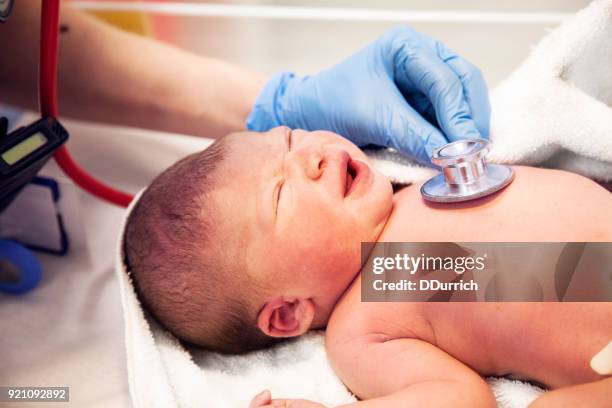 newborn baby checked with a stethoscope - examining newborn stock pictures, royalty-free photos & images