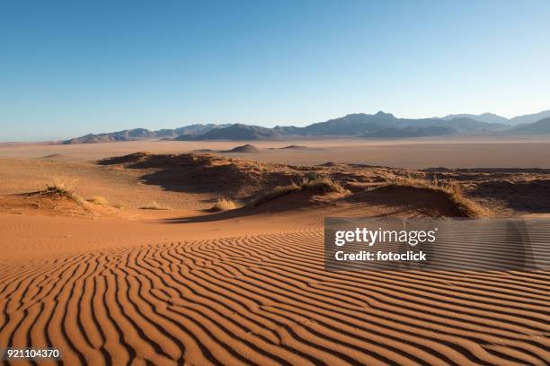 namib rand nature reserve, namibia - fotoclick stock pictures, royalty-free photos & images