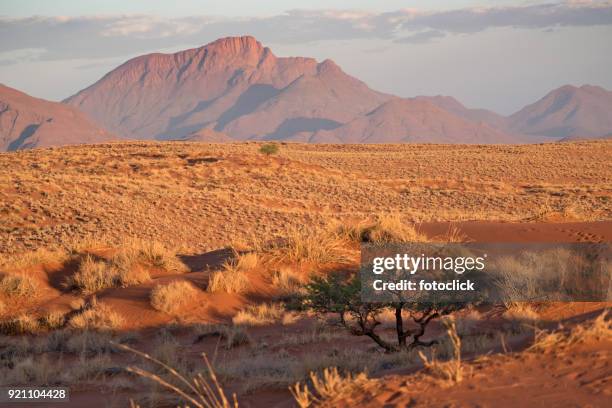 namib rand naturreservat, namibia - fotoclick stock-fotos und bilder