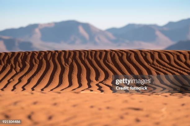 namib rand nature reserve, namibia - fotoclick stock pictures, royalty-free photos & images