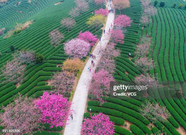 Longyan Cold Spring 7,699 Longyan Stock Photos, High-Res Pictures, and Images - Getty Images