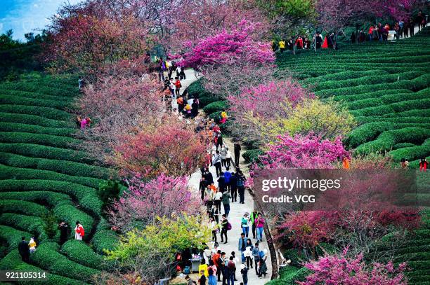 Longyan Cold Spring 7,699 Longyan Stock Photos, High-Res Pictures, and Images - Getty Images