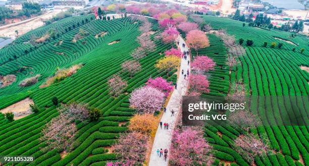 Longyan Cold Spring 7,699 Longyan Stock Photos, High-Res Pictures, and Images - Getty Images
