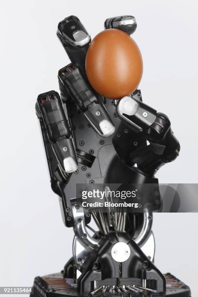 The Shadow Dexterous robotic hand, manufactured by The Shadow Robot Company, holds a brown hen's egg during a demonstration of its agility in an...