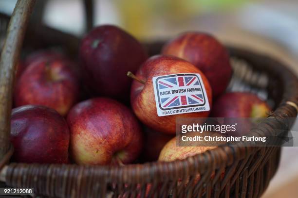 In this photo illustration a 'Back British Farming' sticker adorns an apple during the National Farmers Union annual conference at the International...