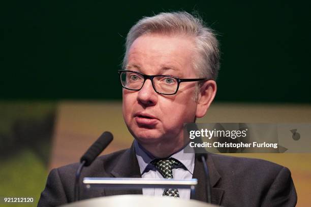 British Food and Rural Affairs Secretary Michael Gove addresses delegates at the National Farmers Union annual conference at the International...