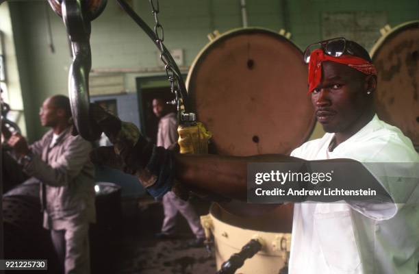 Prisoners at North Carolina's Caledonia Prison work in various prison industries and harvest crops on a prison farm, June 1, 1996 outside of Tillery,...