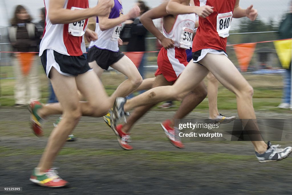 Cross Country Race High-Res Stock Photo - Getty Images