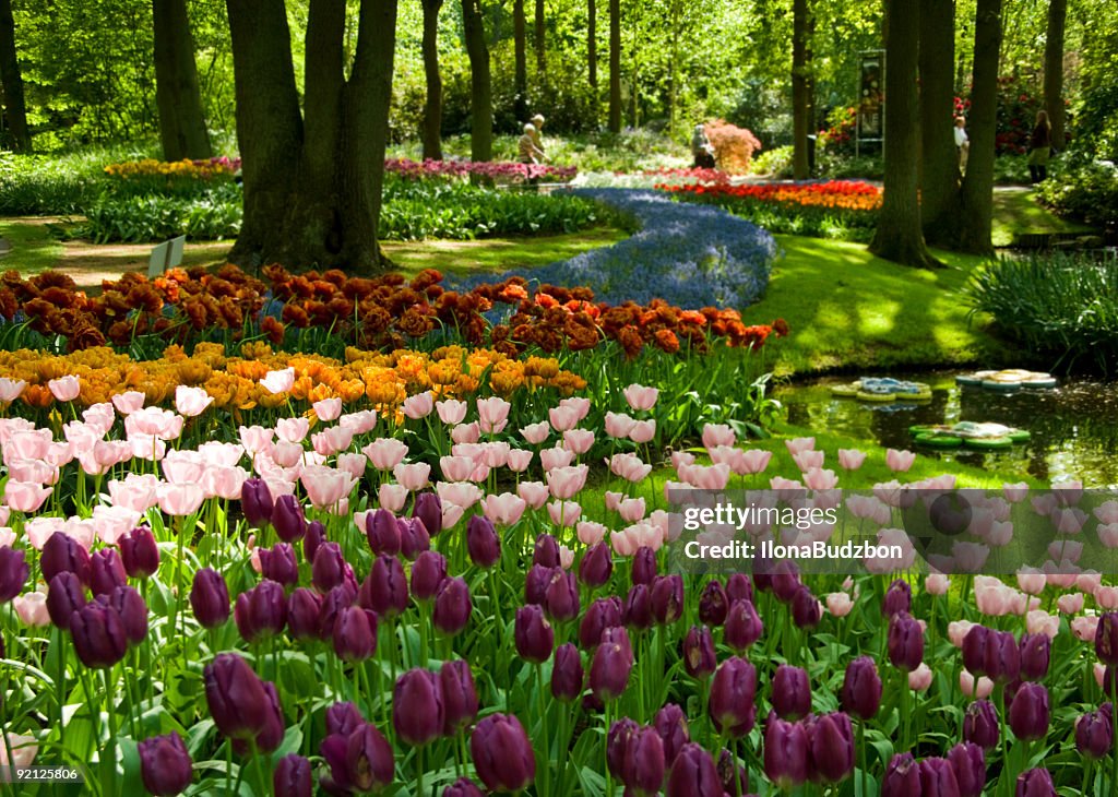 Spring In The Park High-Res Stock Photo - Getty Images