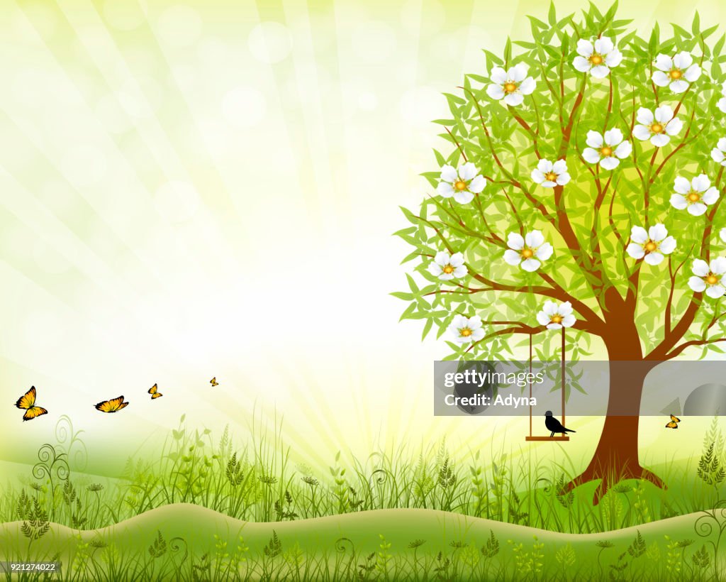 Spring Scene Graphics Spring Landscape High-Res Vector Graphic - Getty Images