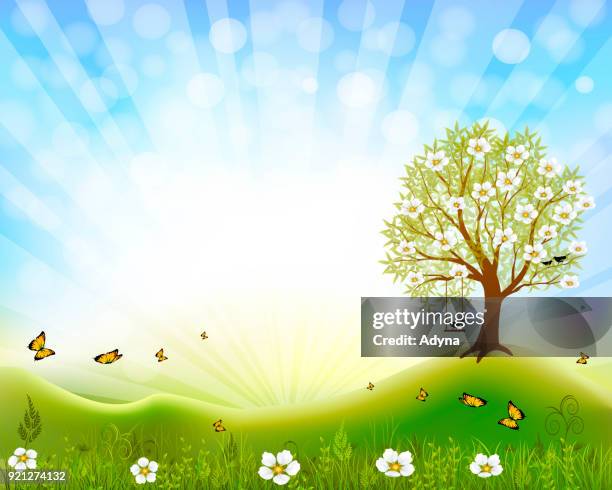 spring scene - spring trees uk stock illustrations