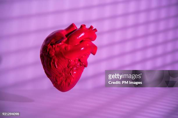 human heart model - heart surgery stock pictures, royalty-free photos & images