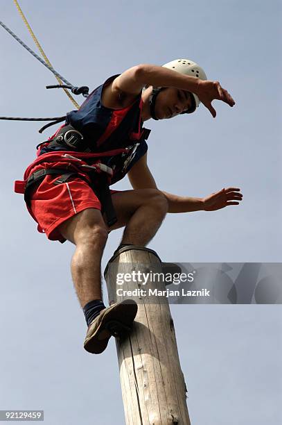 Higher Perch High Perch Photos and Premium High Res Pictures - Getty Images