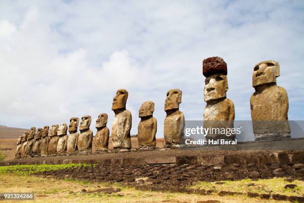 fifteen statues called moai on easter island - moai hat stock pictures, royalty-free photos & images