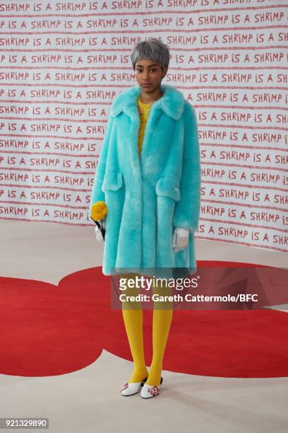 Model poses at the Shrimps Presentation during London Fashion Week February 2018 at TopShop Show Space on February 20, 2018 in London, England.