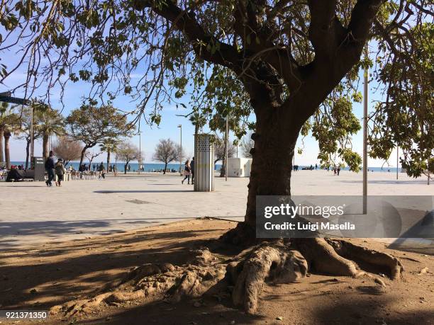 barceloneta promenade , , barcelona - catalogna stock pictures, royalty-free photos & images