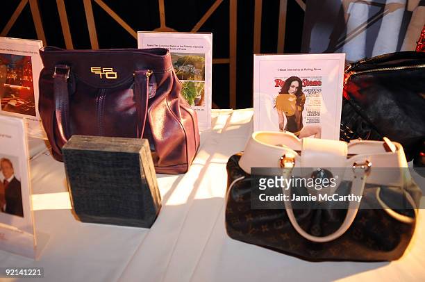 General view of auction items on display at 2009 Angel Ball to Benefit Gabrielle�s Angel Foundation hosted by Denise Rich at Cipriani, Wall Street on...