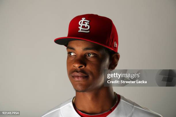 Alex Reyes of the St. Louis Cardinals poses for a portrait at Roger Dean Stadium on February 20, 2018 in Jupiter, Florida.