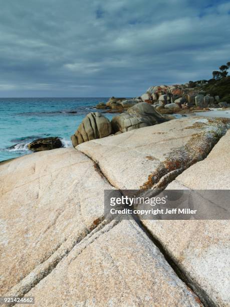 x-pattern on granite outcrop, bay of fires, tasmania - letter x stock pictures, royalty-free photos & images