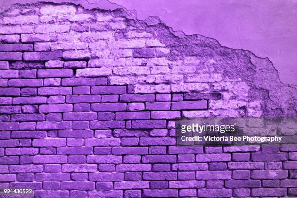 trendy color concept. set with ultra violet color. brick wall is painted on ultra violet color. - ultraviolett stock-fotos und bilder