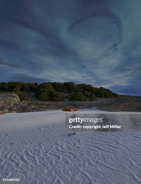 rippled sand at friendly beaches, freycinet national park, tasmania - freycinet foto e immagini stock