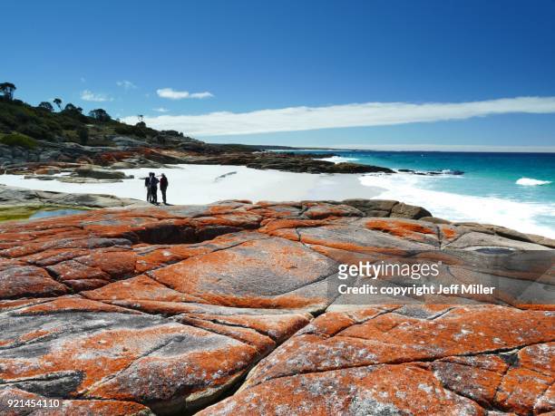 group standing on beach near granite outcrop, bay of fires, tasmania - bay of fires - fotografias e filmes do acervo