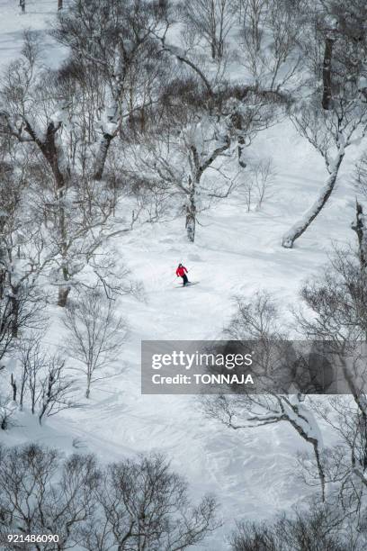 a man skis in niseko, japan - japan skiing stock pictures, royalty-free photos & images