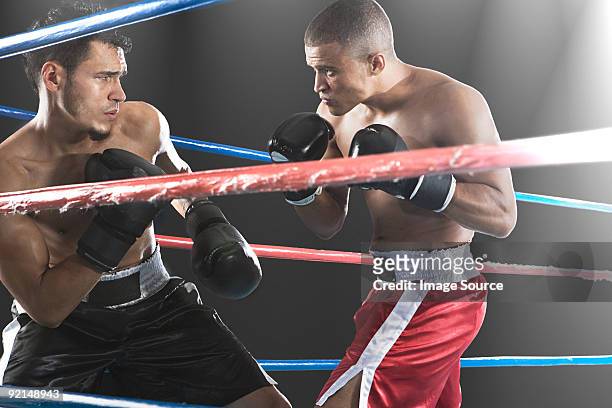 vista de cerca de dos machos boxers desde detrás de cuerdas - combat sport fotografías e imágenes de stock