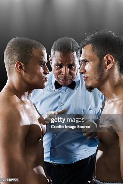 Reply Boxers 957 Boxer Profile Stock Photos, High-Res Pictures, and Images - Getty ...